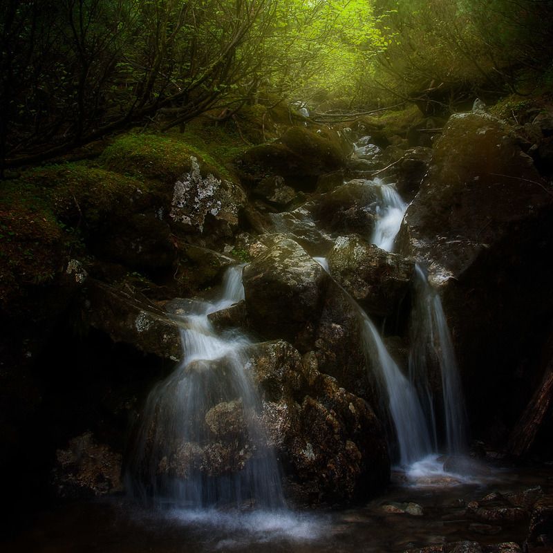 приморский край, солнце, рассвет Таежный ручеекphoto preview