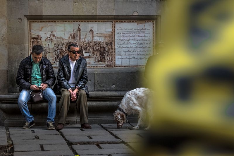 Portfoliophoto preview