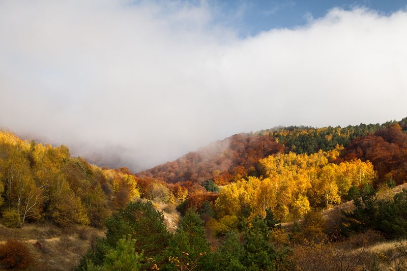 демерджи, цвет, крым, осень Краски осени на гореphoto preview