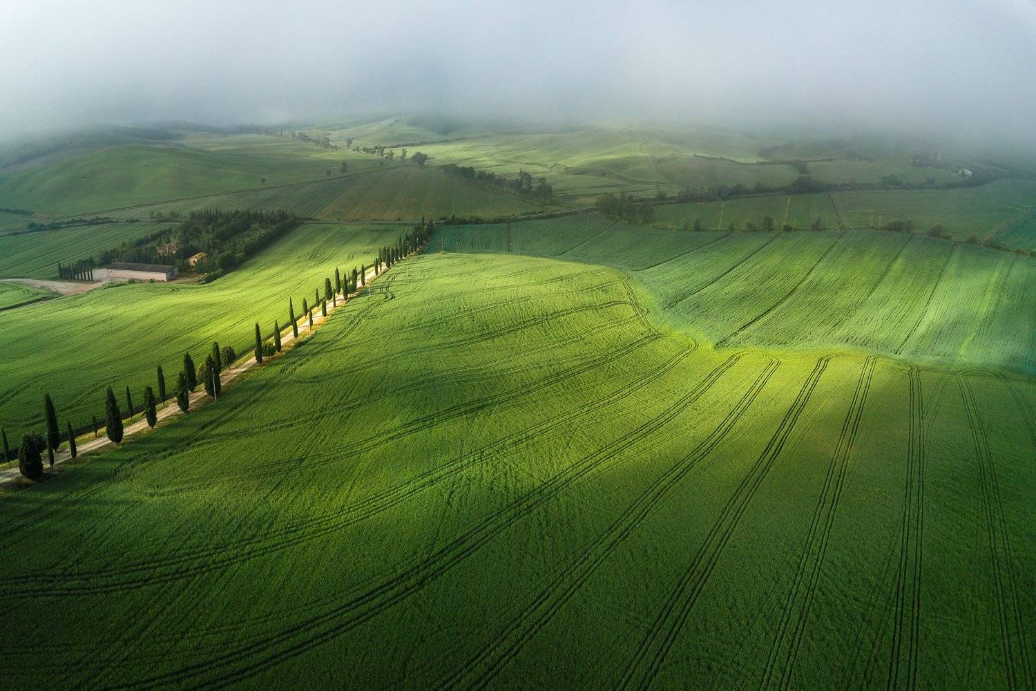 тоскана, италия, tuscany, italia, italy, tuscan, valdorcia, вальдорча, green, field, Василий Яковлев