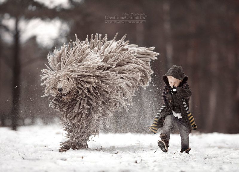 Mop Tops in the Snowphoto preview