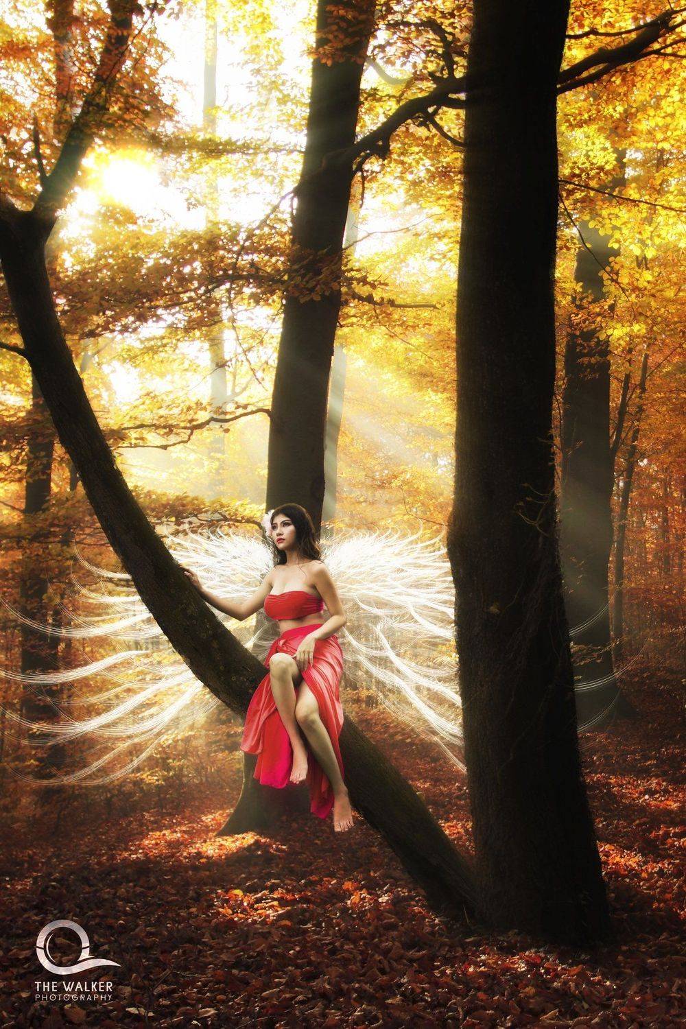 Автор: Trinh Quoc Cuong , Trinh Quoc Cuong