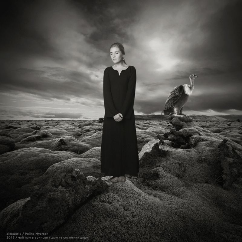 Untitledphoto preview