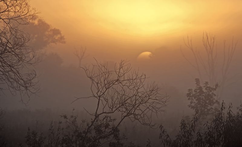 *** ***photo preview