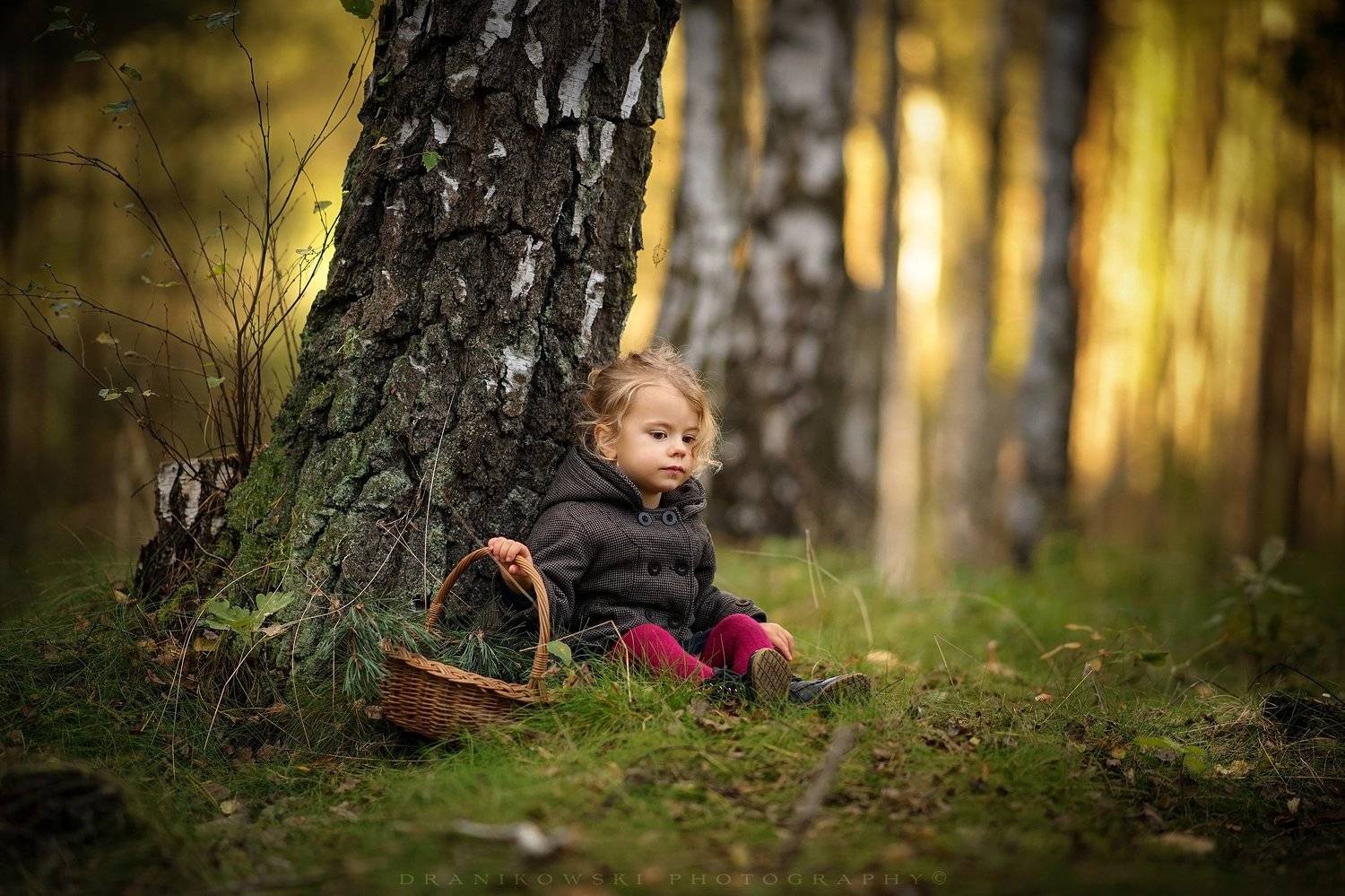 rest, magic, forest, trees, sun, sunset, grass, cute, girl, tree, light, Radoslaw Dranikowski