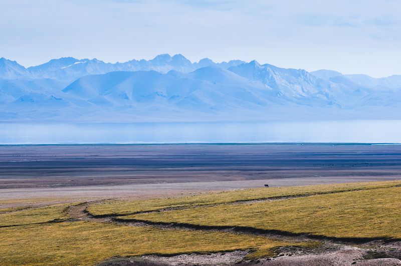 киргизия, горы, озеро, берег, лошадь, kyrgyzstan, mountains, lake, horse photo preview