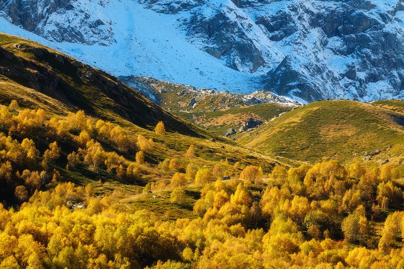 россия, кавказ, северная осетия, дигория, пейзаж, природа, ущелье, горы, хребет, рассвет, осень, снег, лес Встреча осени и зимыphoto preview