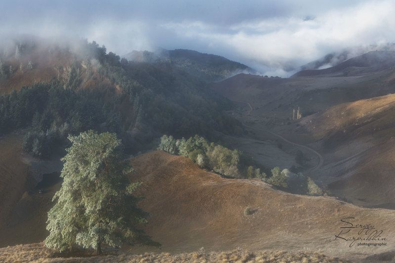 кавказ, ингушетия, заповедник эрзи Посеребрило утро горную долину...photo preview