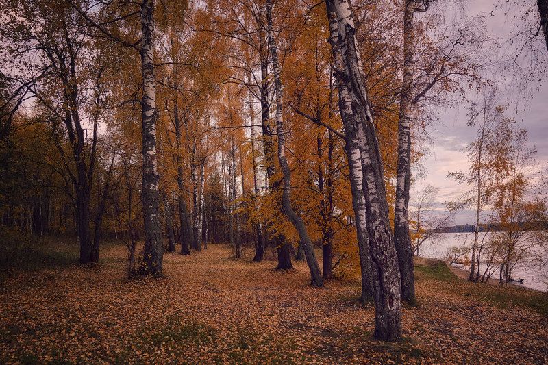 Осеннее настроение фото превью