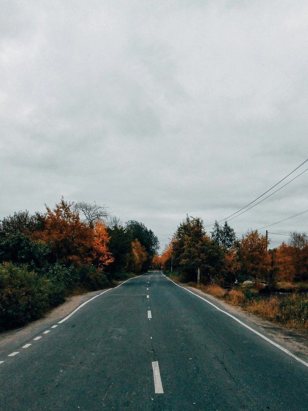 #trave #красота #природа #путешествия #утро #красивыеместа #рассвет #discovery #World #dream #moments #моментыжизни #путешествие #beauty #живаяпланета #красивыйвид #красивыеместа #travelerbest #пейзажи #мирвокругнас#вокругсвета #openworld #соловки #россия Рабочая осеньphoto preview