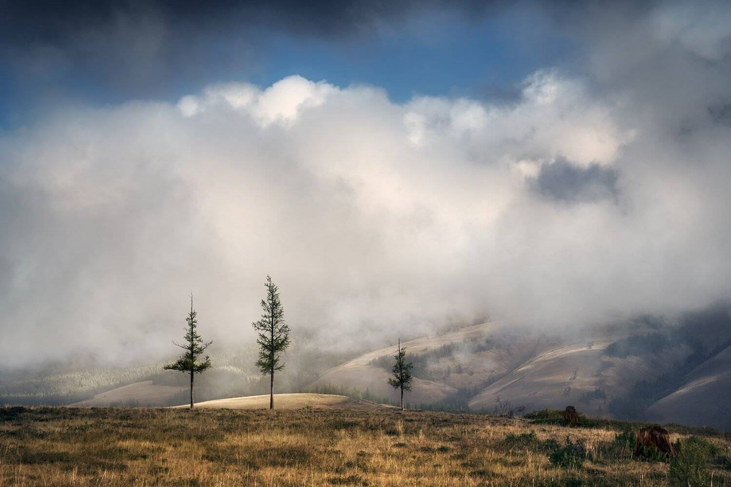 пейзаж, природа, утро, раннее, туман, облака, красивая, горы, хребет, лиственница, дерево, холодное, Дмитрий Антипов