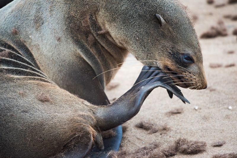 намибия Философphoto preview