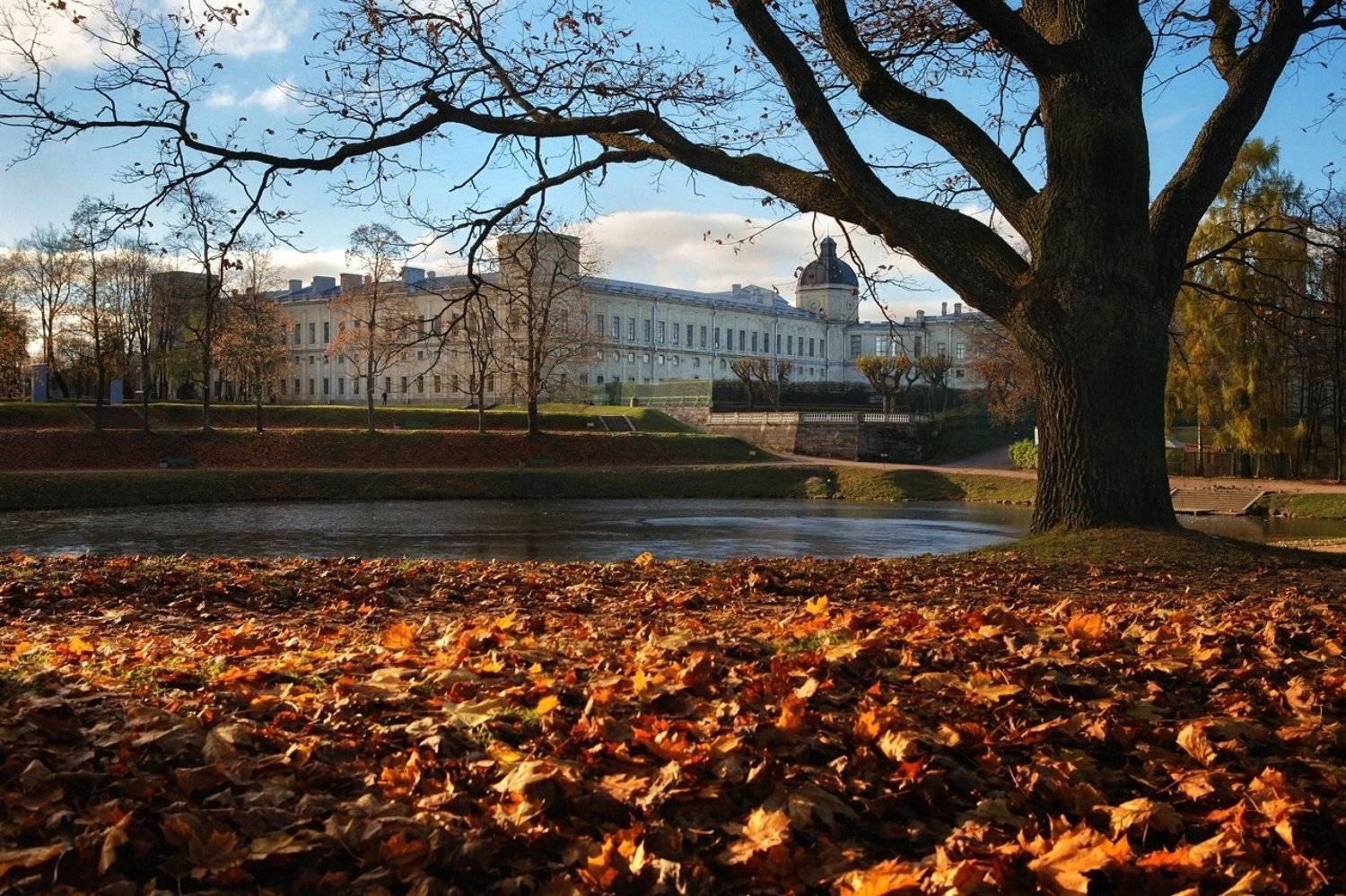 Гатчина, октябрь. Автор: Лопухов Сергей санкт-петербург, осень, гатчина, октябрь, Лопухов Сергей