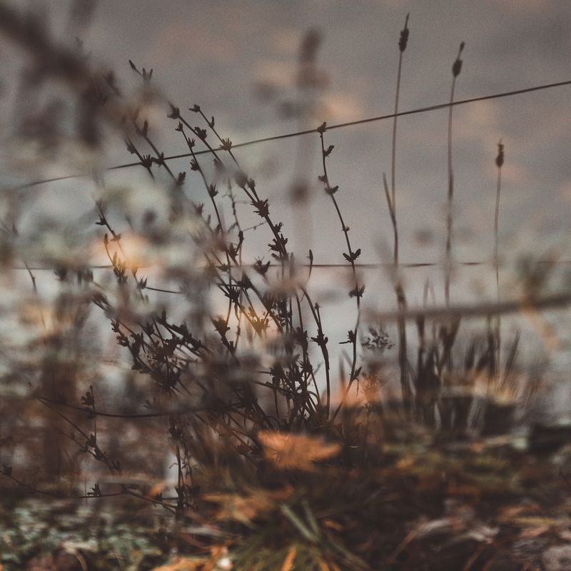 вторая весна по Камюphoto preview