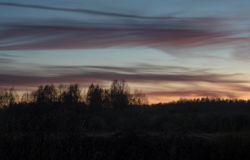 вечер, закат, облака, выдержка, лес, сумерки, свет, тишина, тяга, спокойствие, лотошино Спокойствиеphoto preview
