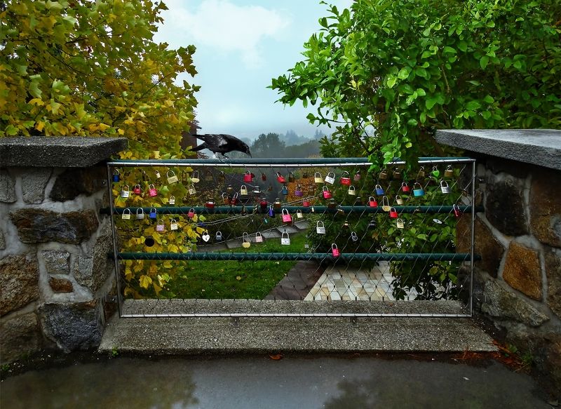 Destinyphoto preview