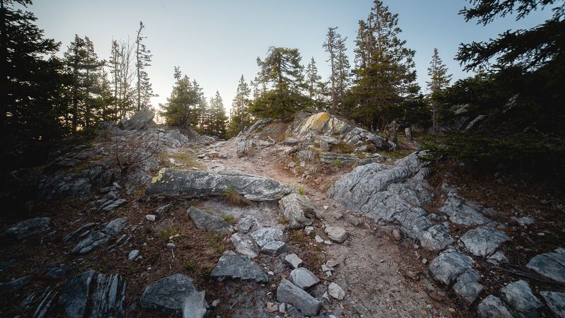 Уральские тропыphoto preview