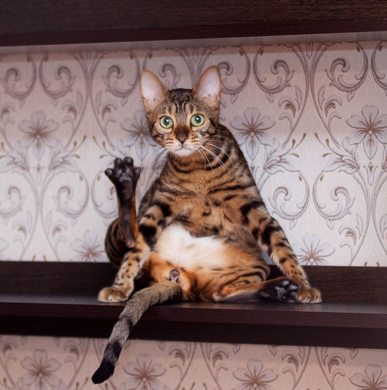 mr.filler Приветствую вас люди :)photo preview