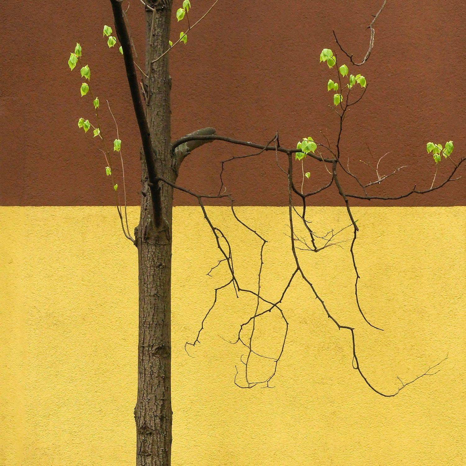 мои квадраты. Автор: Eвгений весна, Eвгений