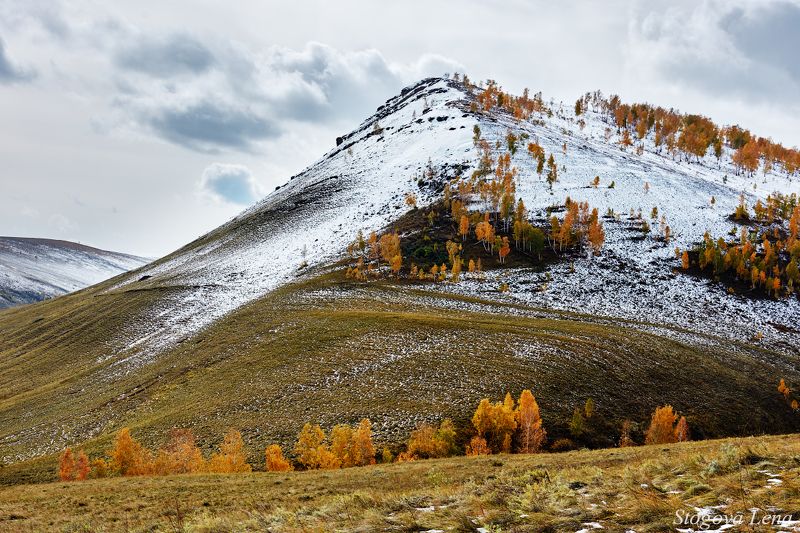 хакасия, осень, зима Осенние холмыphoto preview