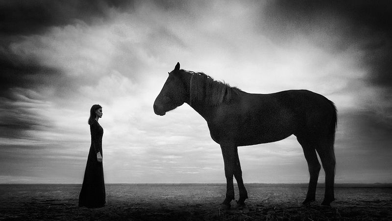 Диалог двух мировphoto preview