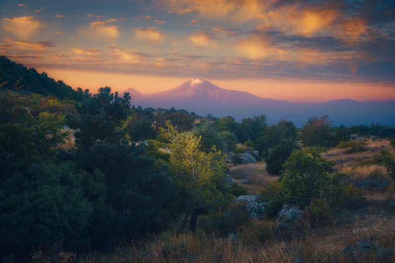 Арарат в утренних лучах Солнцаphoto preview