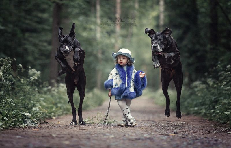 Once upon a time in a dark forest pathphoto preview