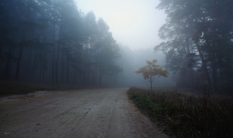 маленькая осень фото превью