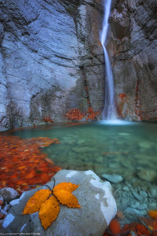 Осенняя лаконичность фото превью