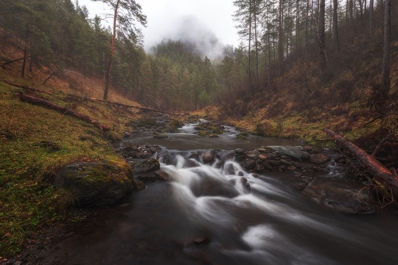 Утро, Алтай, река, ручей, горы Хмурое Алтайское утроphoto preview