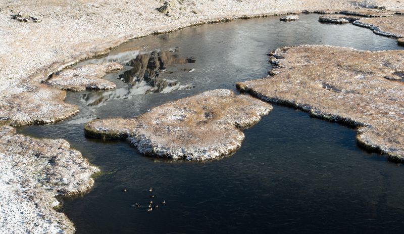 загедан, пхия, осень, октябрь, утки, озеро ПРО УТОК  ЖИВУЩИХ НА ОЗЕРЕphoto preview