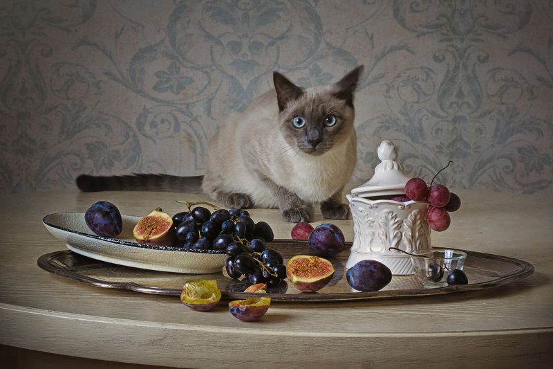 Вегетарианствоphoto preview