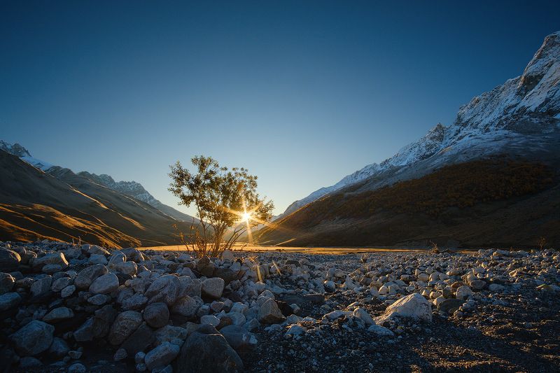 Одинокий воинphoto preview