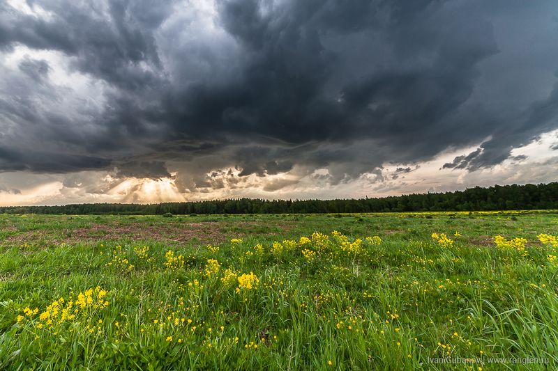 небо, пейзаж, россия, ненастье, гроза, утро, поле Утреннее небоphoto preview