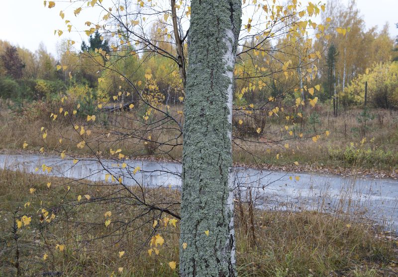 углич ***photo preview