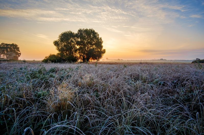 пейзаж,природа,рассвет Первый заморозокphoto preview