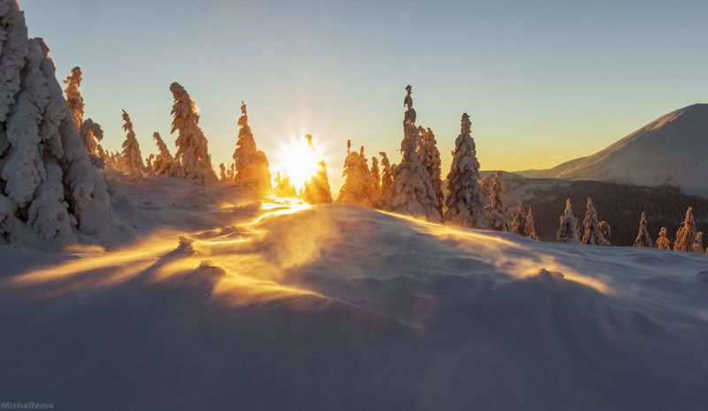 Frosty raysphoto preview