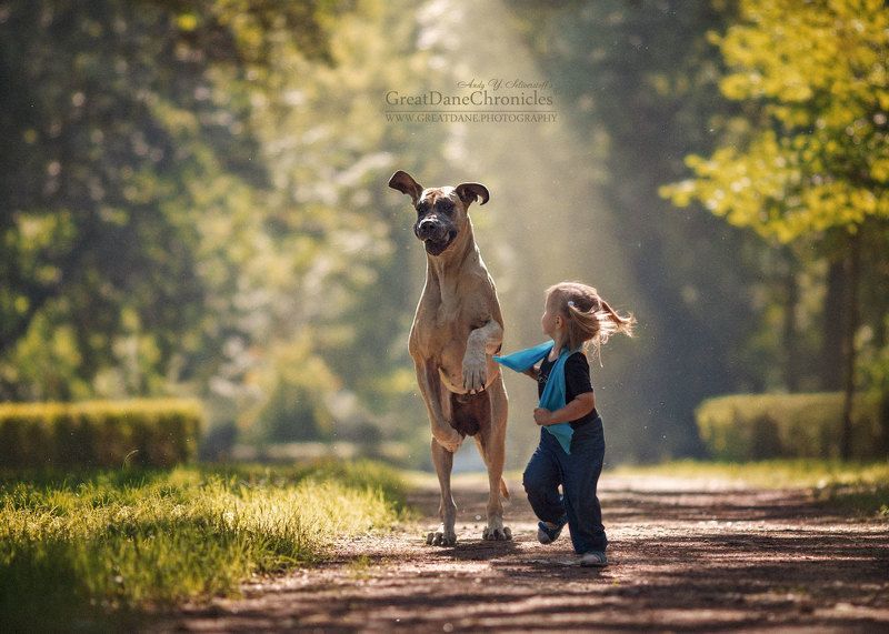 I know where the Fairy Tales live. Follow me - I\'ll show you!photo preview