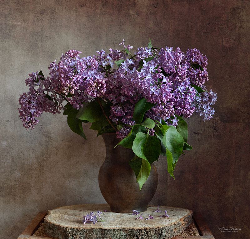 натюрморт Сиреньphoto preview