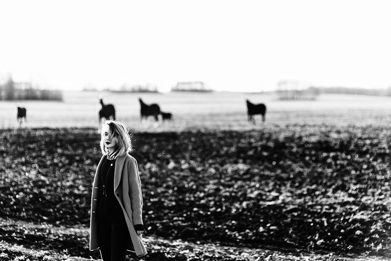 octoberphoto preview