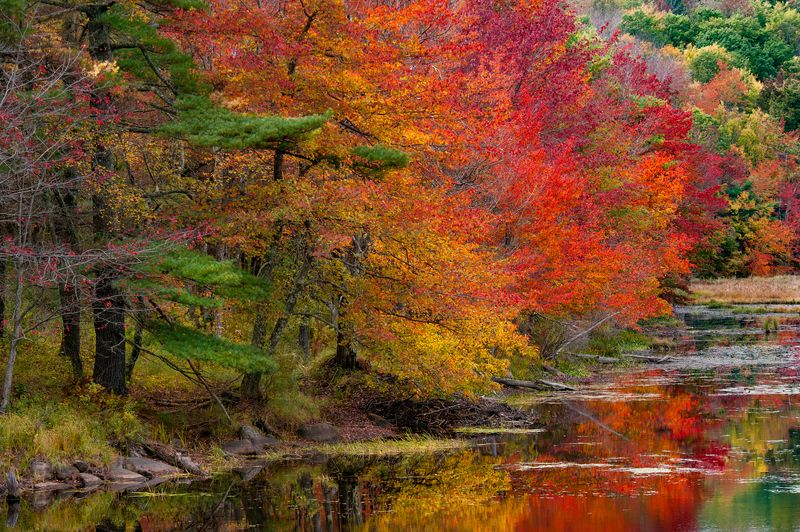 Autumn huesphoto preview