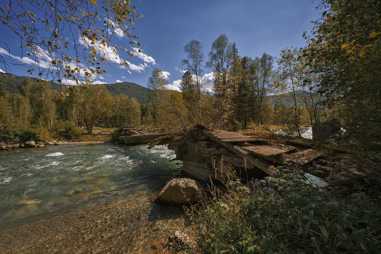 , Шевченко Николай