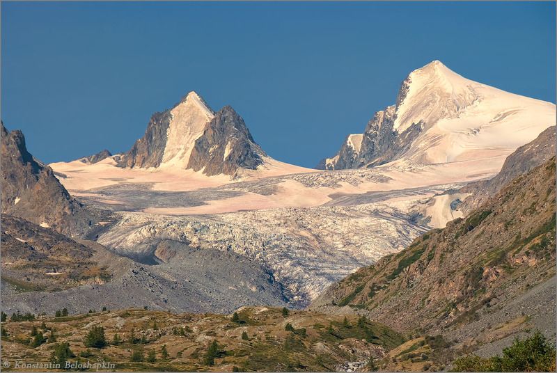 софийский ледник, алтай, утро, красный снег, хламидомонада Утро Софийского ледникаphoto preview