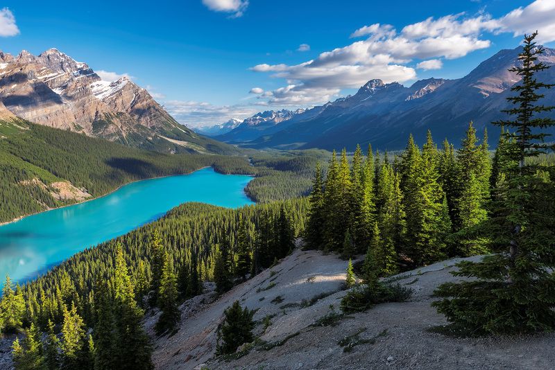 peyto lake, rocky mountains, banff national park, canada, banff, lake, nature, louise, moraine, landscape, jasper, scenery, mountain, canadian rockies, summer, rocky, alberta, scenic, sunrise, hiking, trekking, national, park, calgary, Canadian Rockiesphoto preview