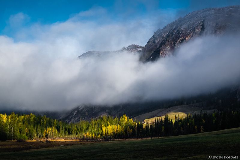 алтай, сибирь, россия, горы, восход, осень, пейзаж, природа, altai, siberia, russia, mountains, sunrise, autumn, landscape, nature Алтайское утроphoto preview