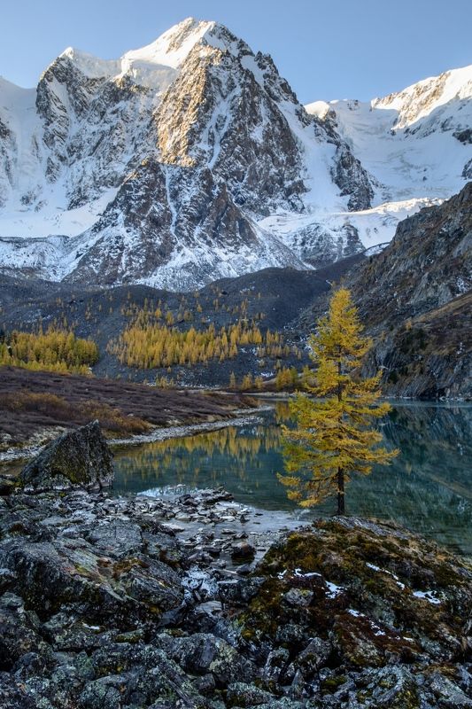 алтай,осень сложный характерphoto preview