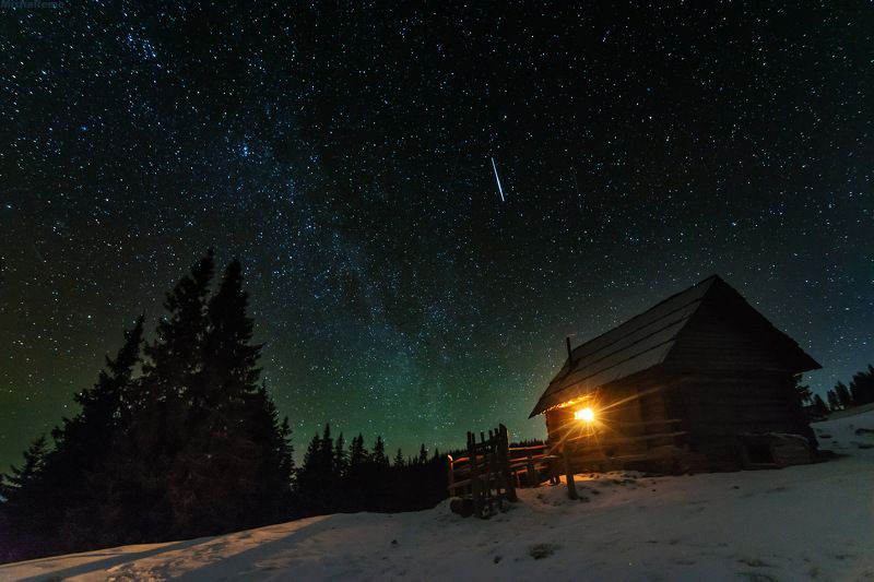 Night of desiresphoto preview