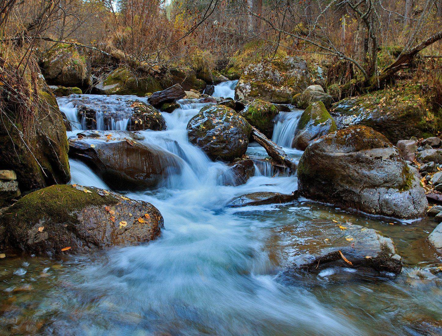 , Юрий Фролов