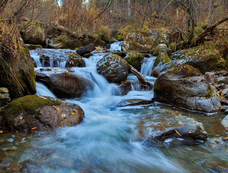 Речка Окпорок. Телецкое озеро.photo preview