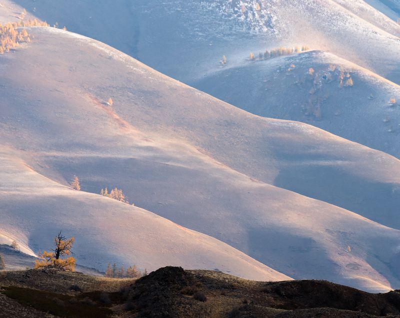 пейзаж, алтай, осень Бархатные волны... фото превью